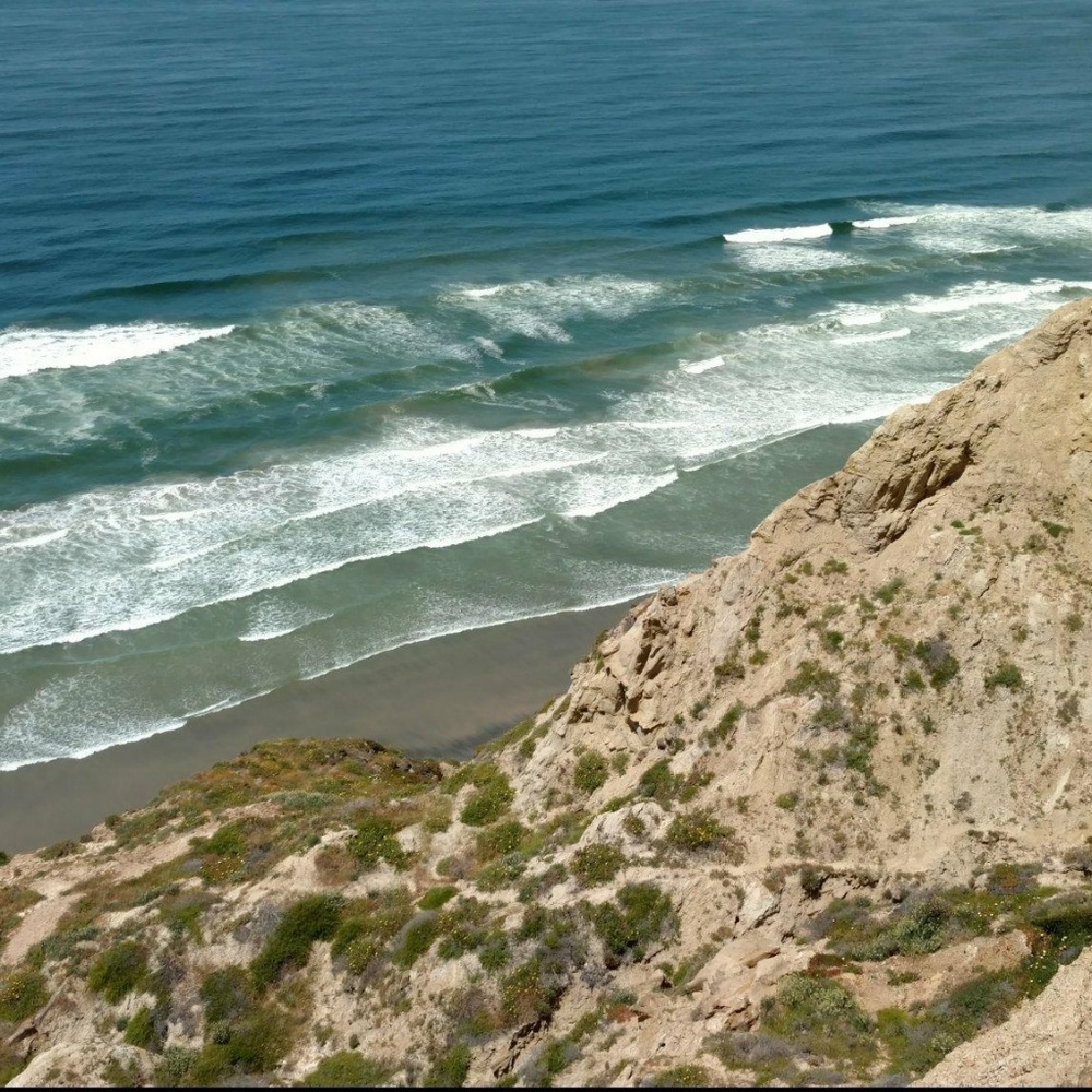 Meet your Posher, Lyn!